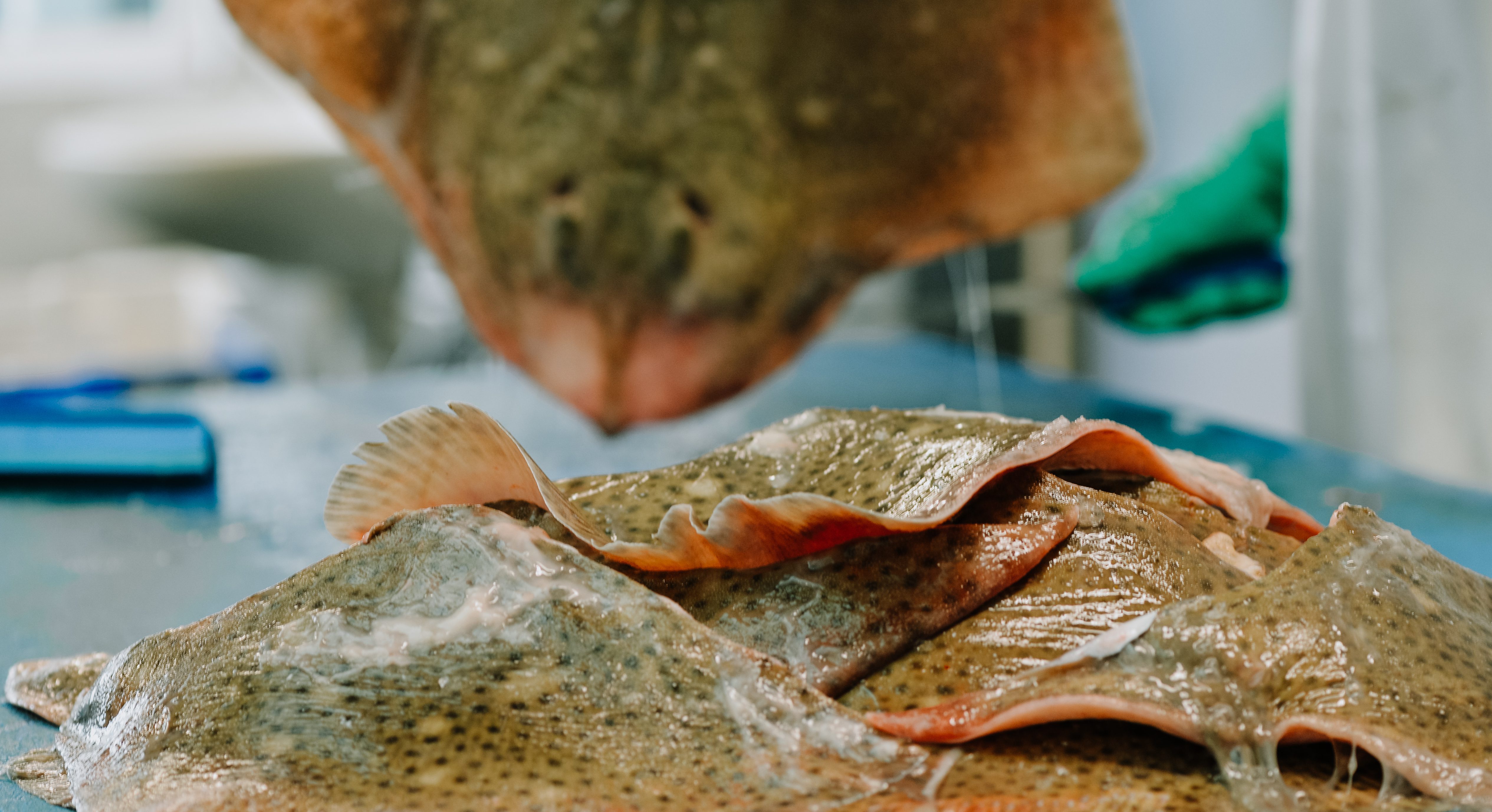 versnijden vis bij viswinkel De Vistafel
